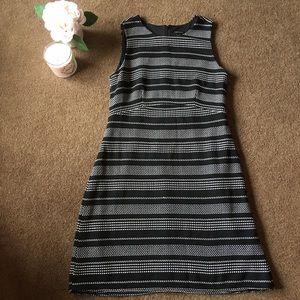 Ann Taylor Sweater Knit Dress